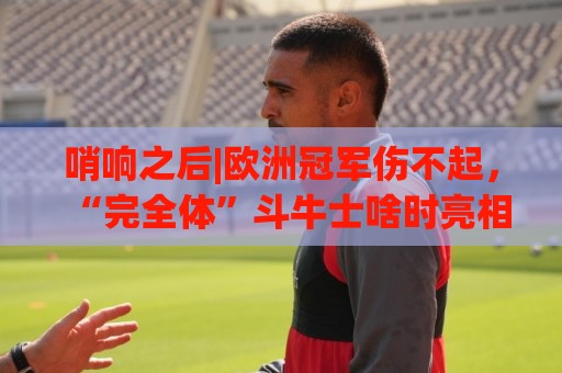 哨响之后|欧洲冠军伤不起，“完全体”斗牛士啥时亮相？