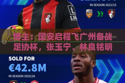 博主：国安启程飞广州备战足协杯，张玉宁、林良铭明天跟球队会合