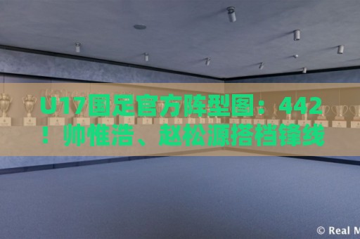 U17国足官方阵型图：442！帅惟浩、赵松源搭档锋线，袁博涵右前卫