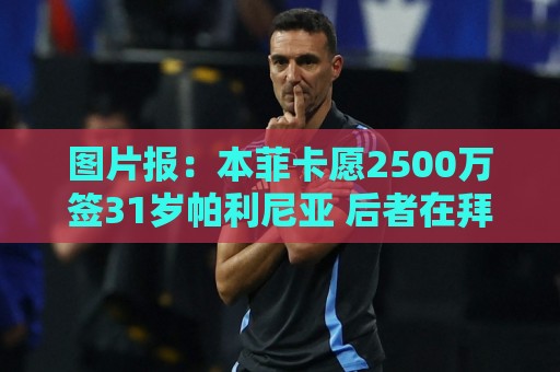 图片报：本菲卡愿2500万签31岁帕利尼亚 后者在拜仁基础年薪850万