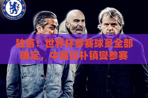 独苗！世界杯参赛球员全部确定，中超仅朴镇燮参赛
