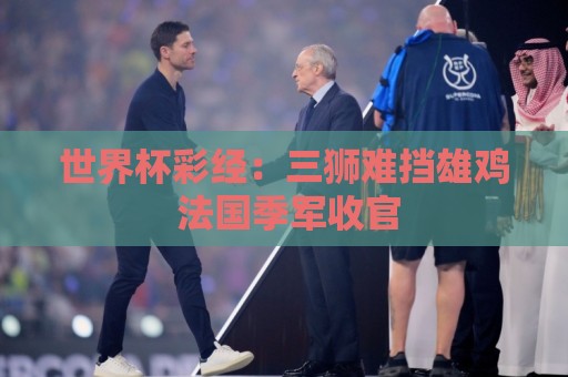世界杯彩经：三狮难挡雄鸡 法国季军收官