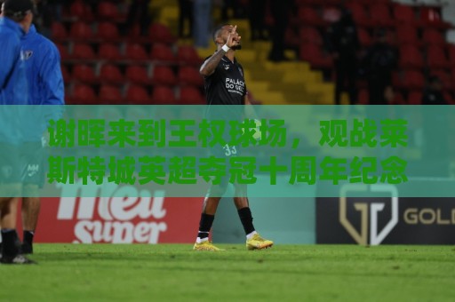 谢晖来到王权球场,观战莱斯特城英超夺冠十周年纪念赛 谢晖来到王权球场,观战莱斯特城英超夺冠十周年纪念赛