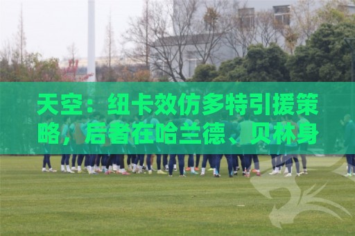 天空：纽卡效仿多特引援策略，后者在哈兰德、贝林身上取得成功