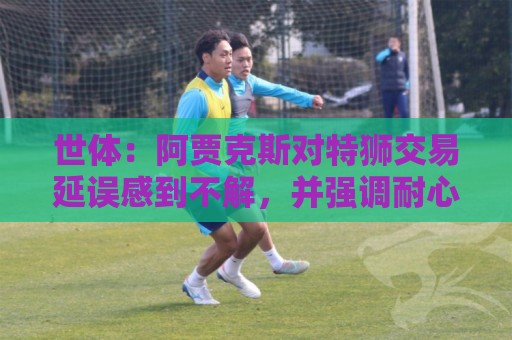 世体：阿贾克斯对特狮交易延误感到不解，并强调耐心并非无限