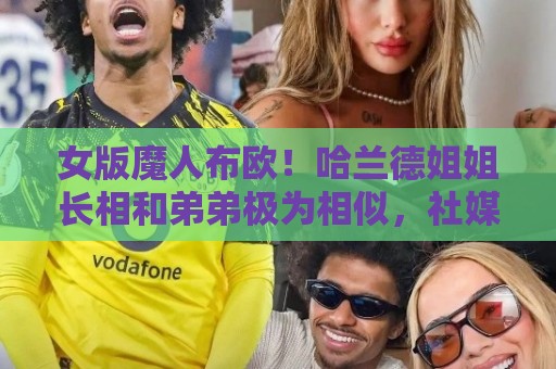 女版魔人布欧!哈兰德姐姐长相和弟弟极为相似,社媒拥有30万粉丝 女版魔人布欧!哈兰德姐姐长相和弟弟极为相似,社媒拥有30万粉丝