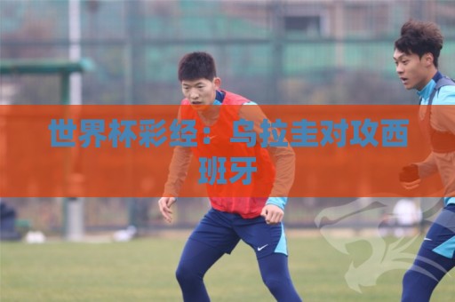 世界杯彩经：乌拉圭对攻西班牙