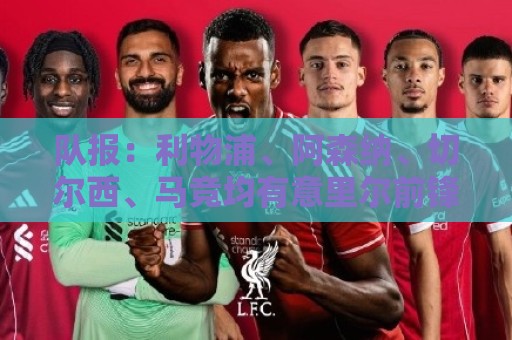 队报：利物浦、阿森纳、切尔西、马竞均有意里尔前锋帕尔多