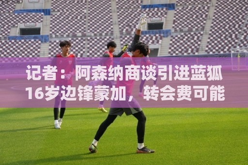 记者:阿森纳商谈引进蓝狐16岁边锋蒙加,转会费可能超1000万镑 记者:阿森纳商谈引进蓝狐16岁边锋蒙加,转会费可能超1000万镑