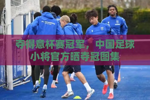 夺得意杯赛冠军，中国足球小将官方晒夺冠图集