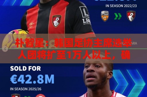 朴智星：韩国足协主席选举人团将扩至1万人以上，确保选举公平性