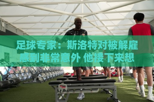 足球专家:斯洛特对被解雇感到非常意外 他接下来想带荷兰国家队 足球专家:斯洛特对被解雇感到非常意外 他接下来想带荷兰国家队