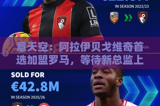 意天空:阿拉伊贝戈维奇首选加盟罗马,等待新总监上任后开始谈判 意天空:阿拉伊贝戈维奇首选加盟罗马,等待新总监上任后开始谈判