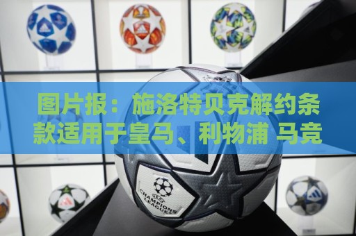 图片报:施洛特贝克解约条款适用于皇马、利物浦 马竞有意安东 图片报:施洛特贝克解约条款适用于皇马、利物浦 马竞有意安东
