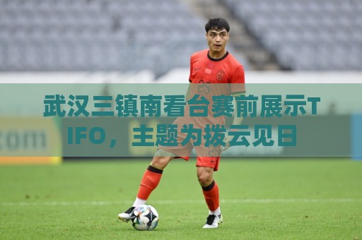 武汉三镇南看台赛前展示TIFO，主题为拨云见日