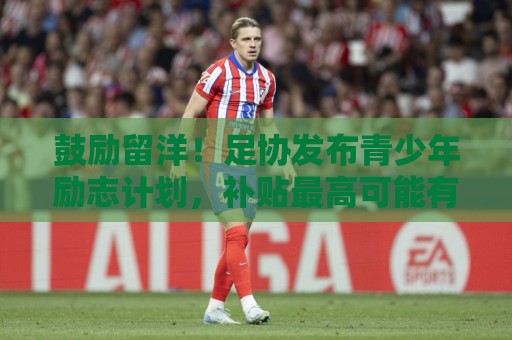 鼓励留洋!足协发布青少年励志计划,补贴最高可能有163.6万元/年 鼓励留洋!足协发布青少年励志计划,补贴最高可能有163.6万元/年