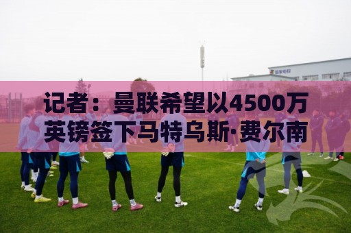 记者:曼联希望以4500万英镑签下马特乌斯·费尔南德斯 记者:曼联希望以4500万英镑签下马特乌斯·费尔南德斯