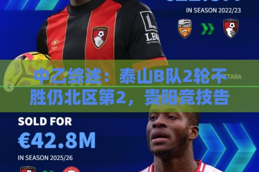 中乙综述：泰山B队2轮不胜仍北区第2，贵阳竞技告负蒲公英战平