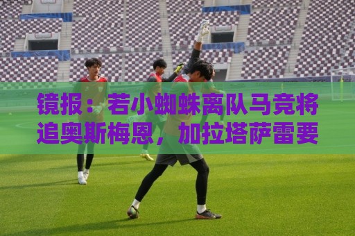 镜报:若小蜘蛛离队马竞将追奥斯梅恩,加拉塔萨雷要价6400万镑起 镜报:若小蜘蛛离队马竞将追奥斯梅恩,加拉塔萨雷要价6400万镑起