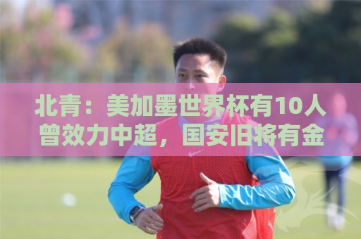 北青:美加墨世界杯有10人曾效力中超,国安旧将有金玟哉等3人 北青:美加墨世界杯有10人曾效力中超,国安旧将有金玟哉等3人