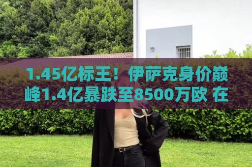 1.45亿标王!伊萨克身价巅峰1.4亿暴跌至8500万欧 在利物浦仅4球 1.45亿标王!伊萨克身价巅峰1.4亿暴跌至8500万欧 在利物浦仅4球