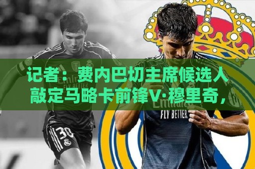 记者：费内巴切主席候选人敲定马略卡前锋V·穆里奇，当选就签下