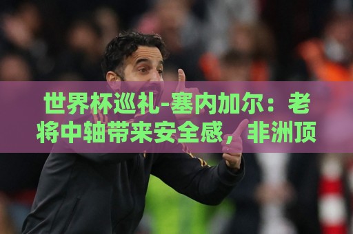 世界杯巡礼-塞内加尔:老将中轴带来安全感,非洲顶流前景可期! 世界杯巡礼-塞内加尔:老将中轴带来安全感,非洲顶流前景可期!