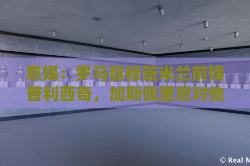 意媒:罗马目标签米兰前锋普利西奇,加斯佩里尼对他很赏识 意媒:罗马目标签米兰前锋普利西奇,加斯佩里尼对他很赏识