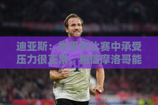 迪亚斯：世界杯比赛中承受压力很正常，相信摩洛哥能取得好成绩